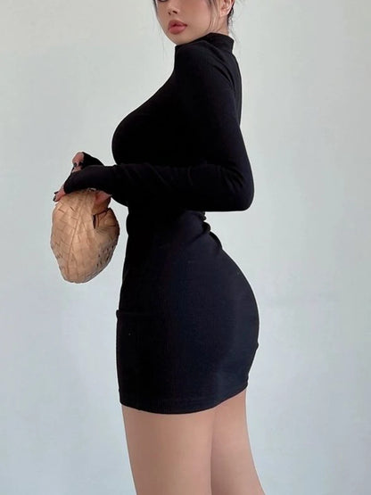 Turtleneck Long Sleeve Dress